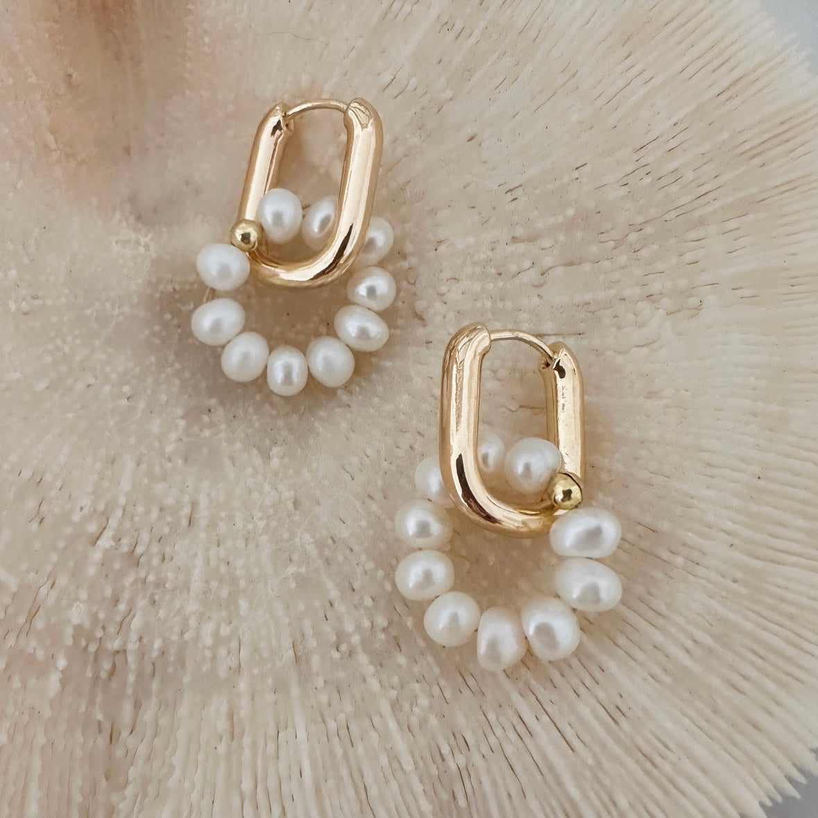 TWISTED HOOPS ✿ NAIA