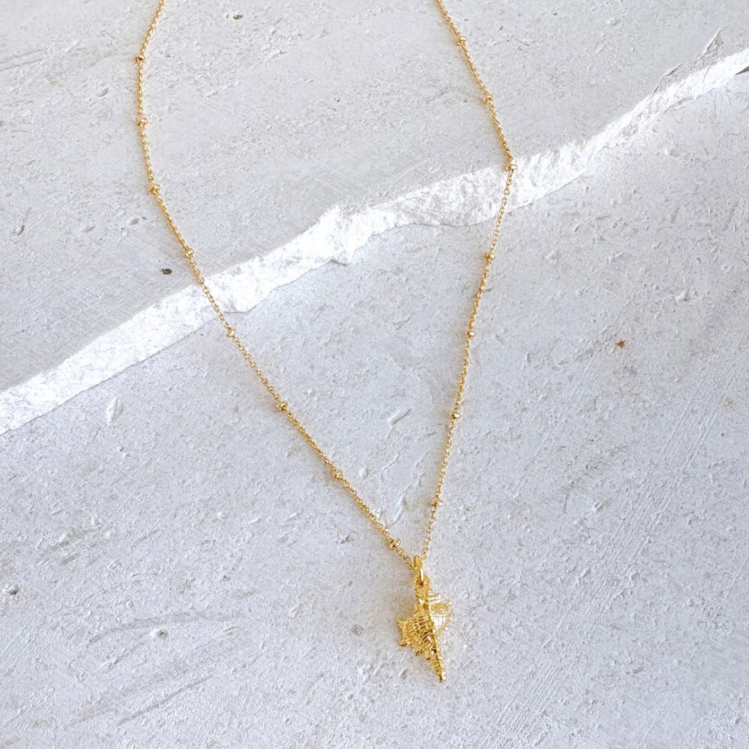 GOLD CHAIN NECKLACE ✿ CONCH SHELL
