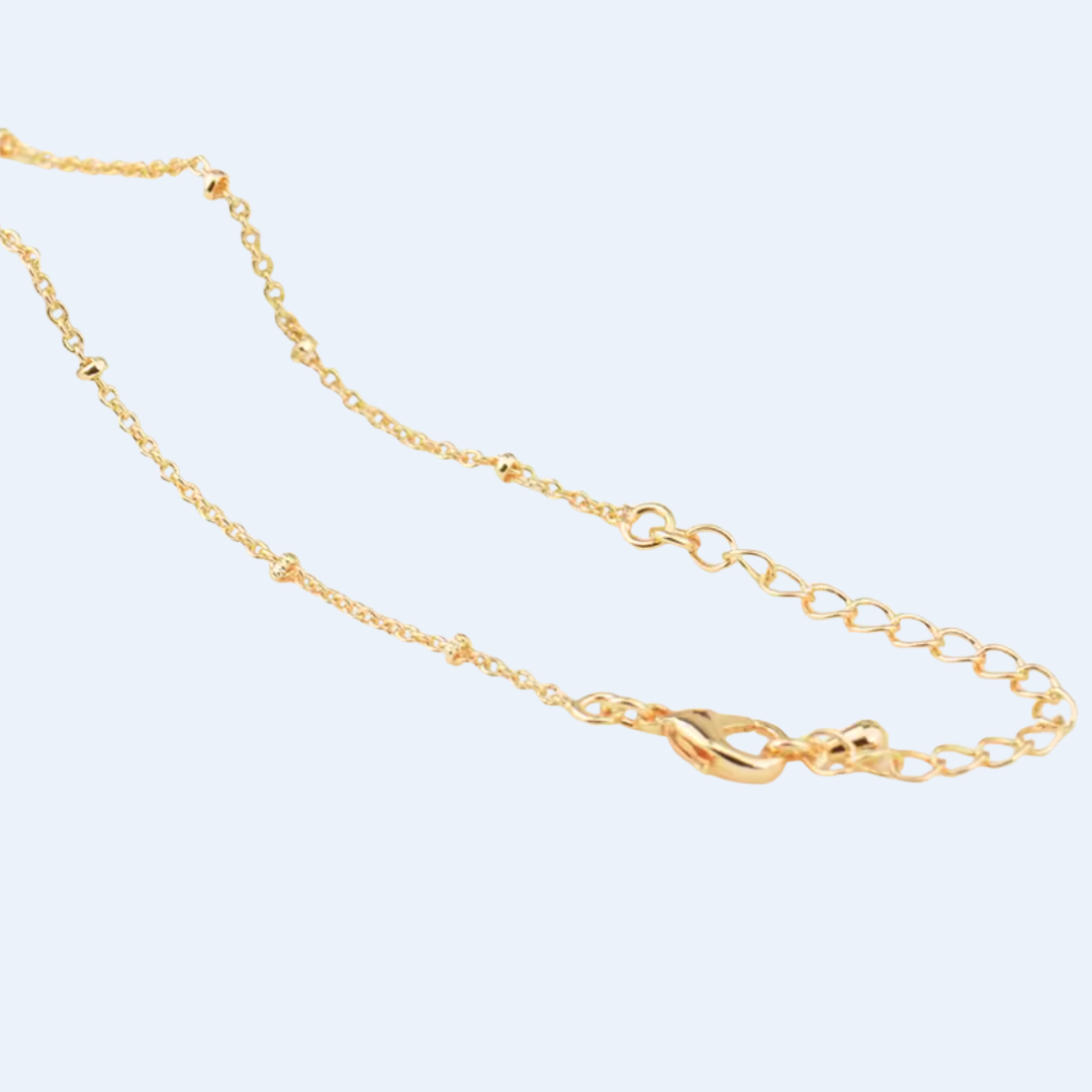 GOLD CHAIN NECKLACE ✿ CONCH SHELL