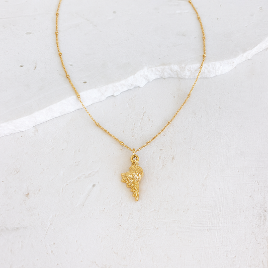 GOLD CHAIN NECKLACE ✿ CONCH SHELL
