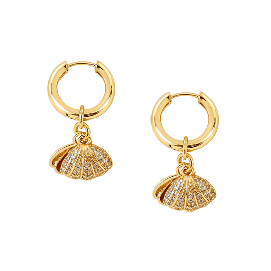 NOA Clam Shell Hoops
