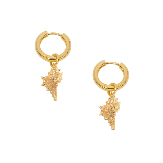 CONCH SHELL HOOPS ✿ SORA