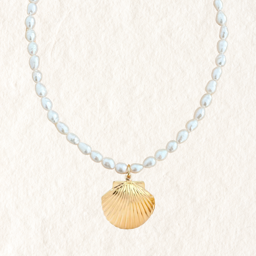 PEARL CHARM NECKLACE ✿ SHELL LOCKET