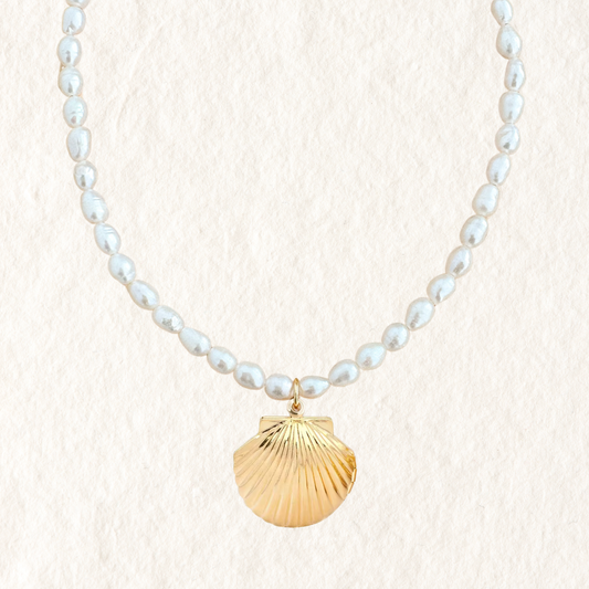 PEARL CHARM NECKLACE ✿ SHELL LOCKET