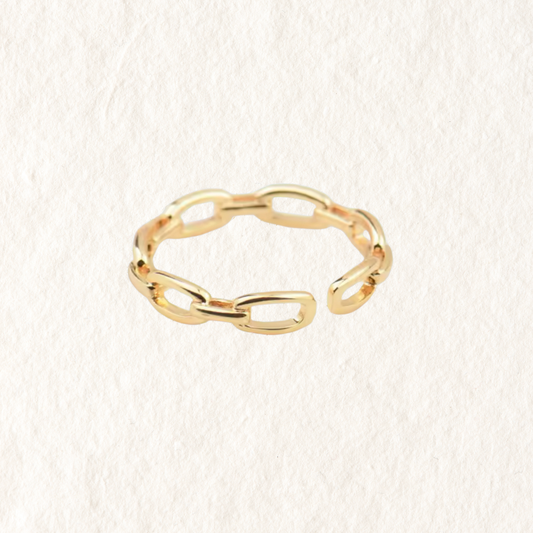 ADJUSTABLE LINK RING ✿ ANA