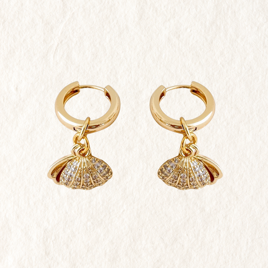 CLAM SHELL HOOPS ✿ NOA