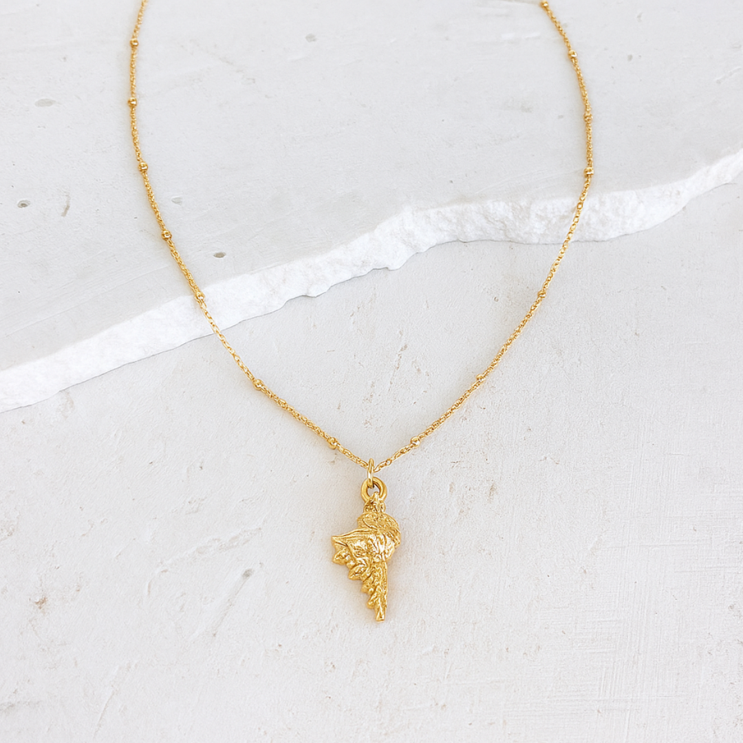 GOLD CHAIN NECKLACE ✿ CONCH SHELL