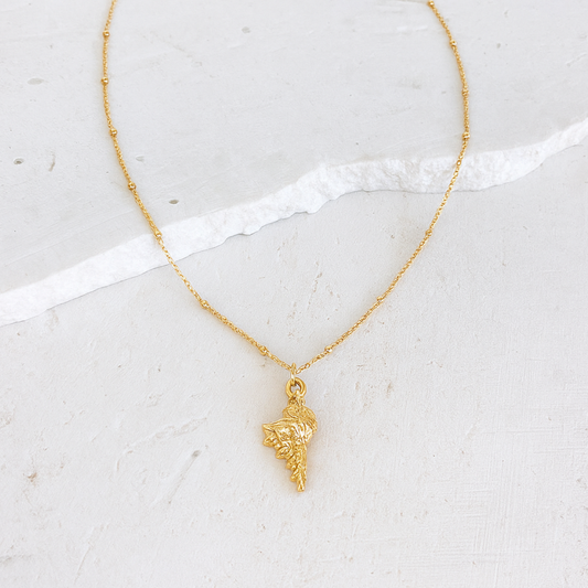 GOLD CHAIN NECKLACE ✿ CONCH SHELL