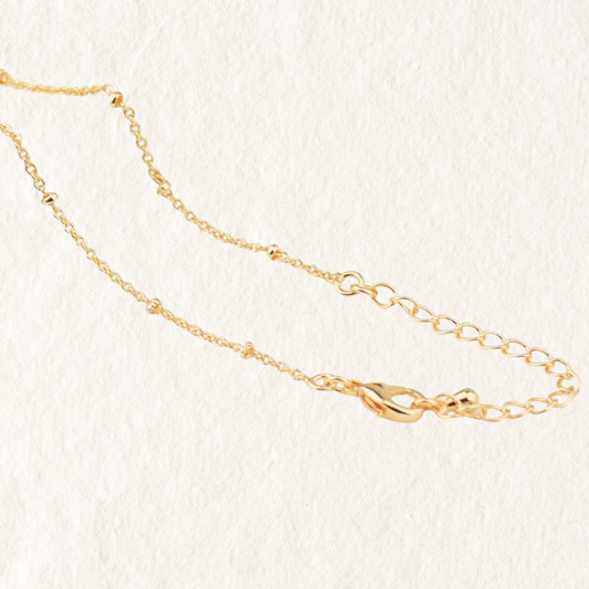 GOLD CHAIN NECKLACE ✿ CONCH SHELL