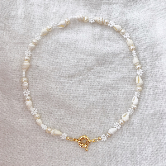 DAISY SHELL CHOKER ✿ CAPRI