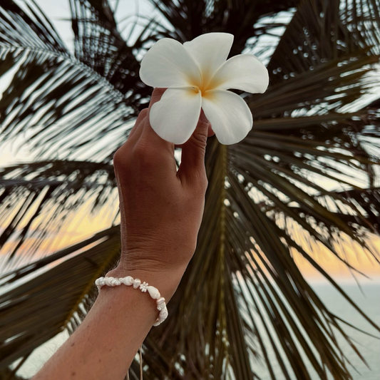 DAISY SHELL BRACELET ✿ CAPRI